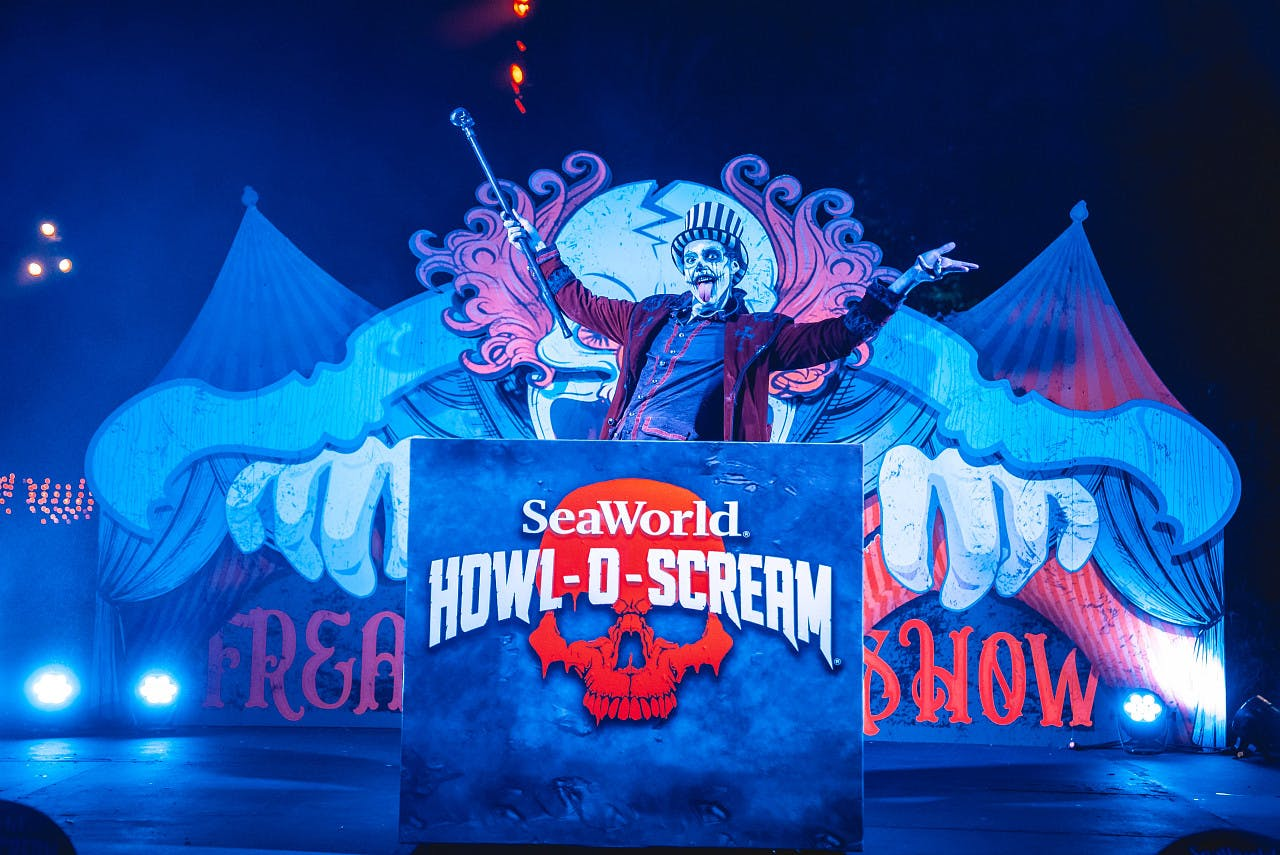 SeaWorld San Diego Howl-O-Scream - Photo 1 of 9